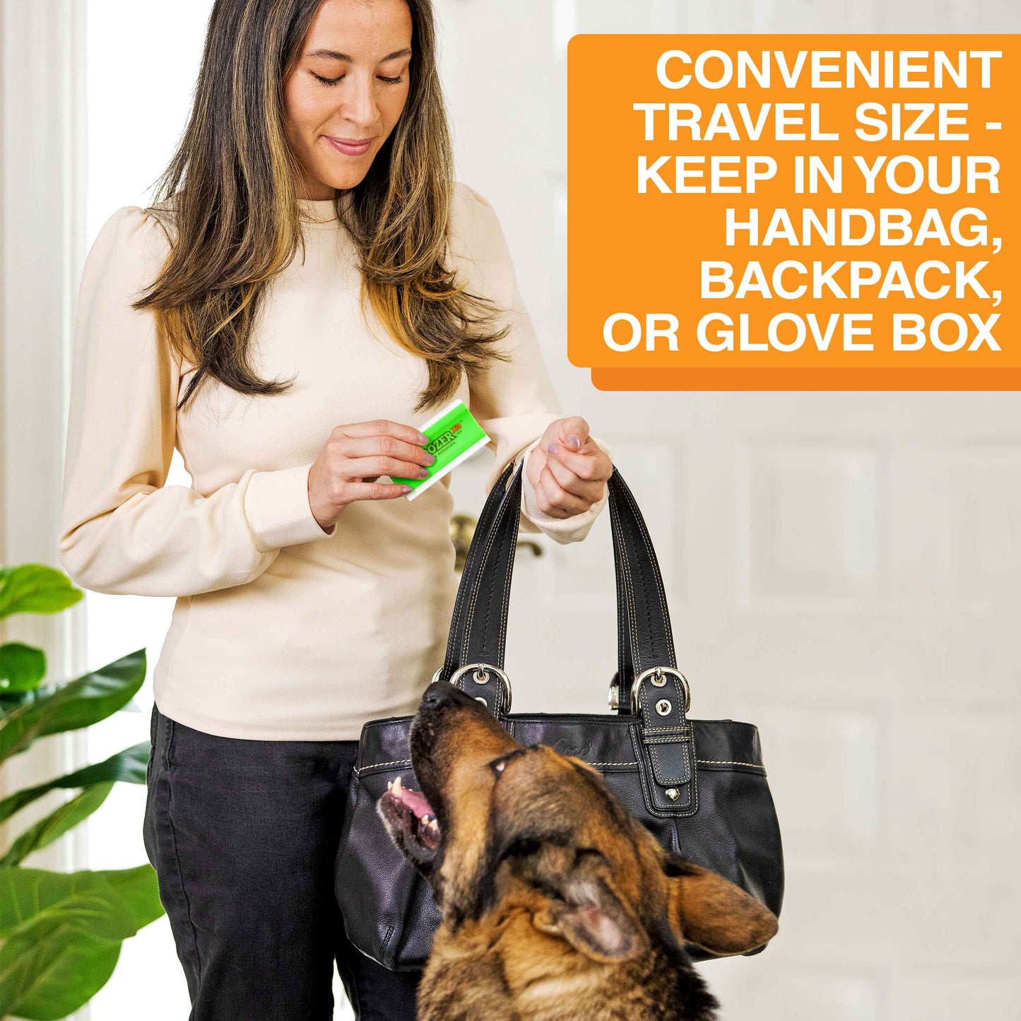 FurBuddy Pet Hair Remover