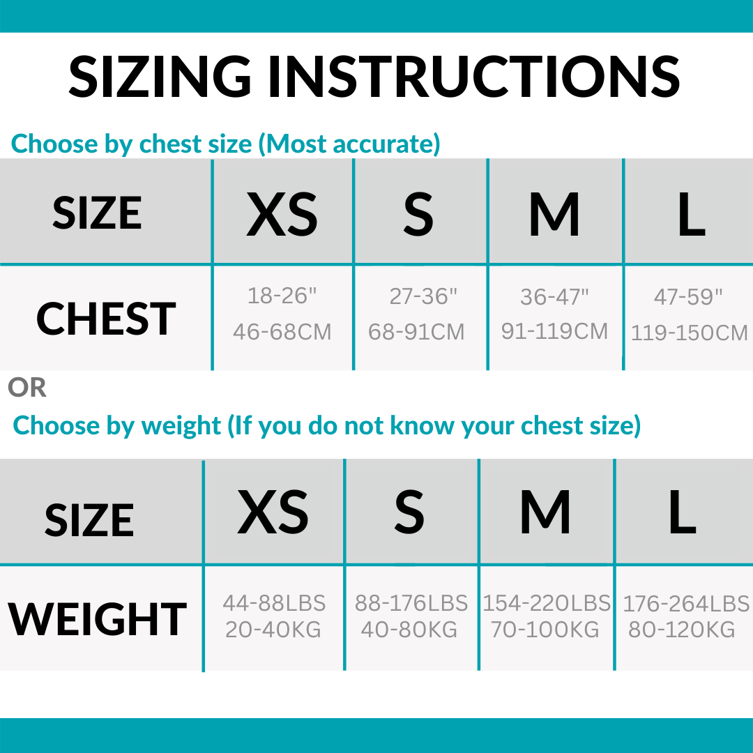The Posture Corrector™