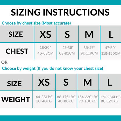 The Posture Corrector™